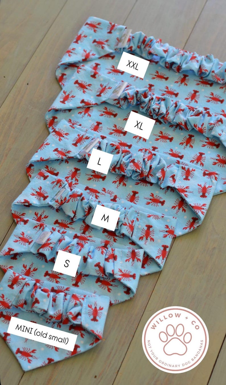 The Life of a Showdog Dog Bandana