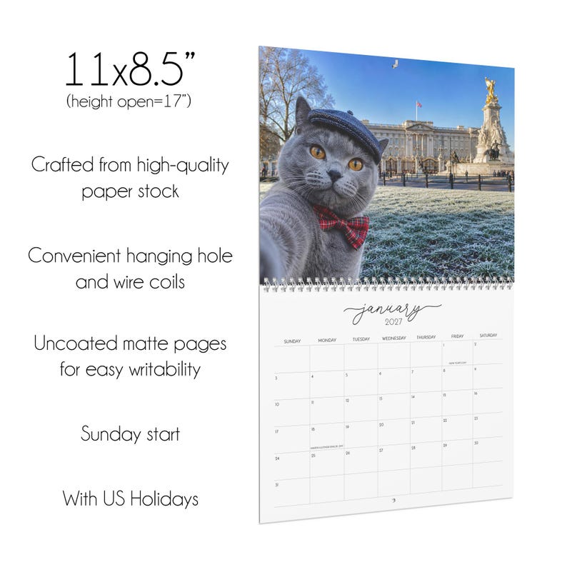 2027 Cat Around the World Funny Calendar