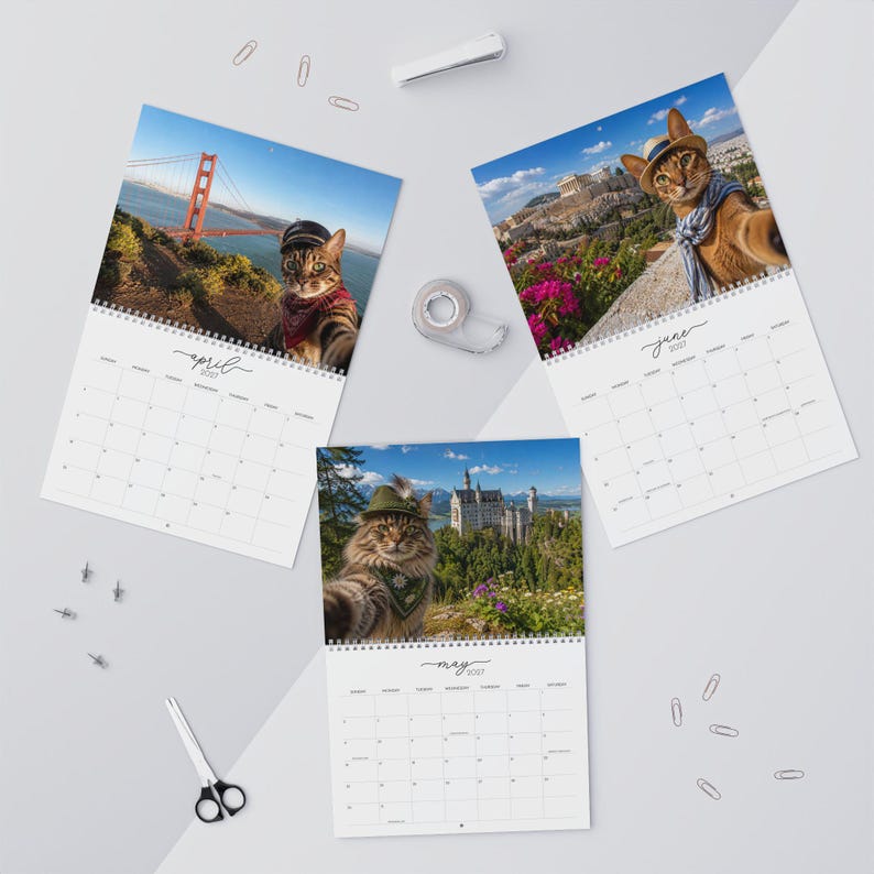 2027 Cat Around the World Funny Calendar