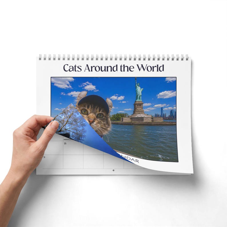 2027 Cat Around the World Funny Calendar