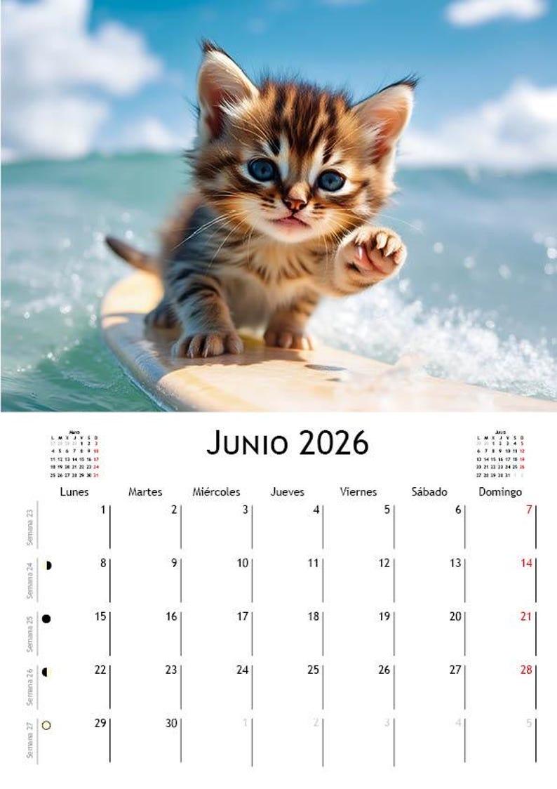 Surfer Kittens 2026 Cat Themed Calendar
