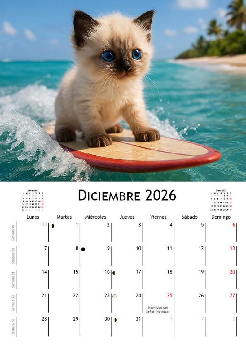 Surfer Kittens 2026 Cat Themed Calendar