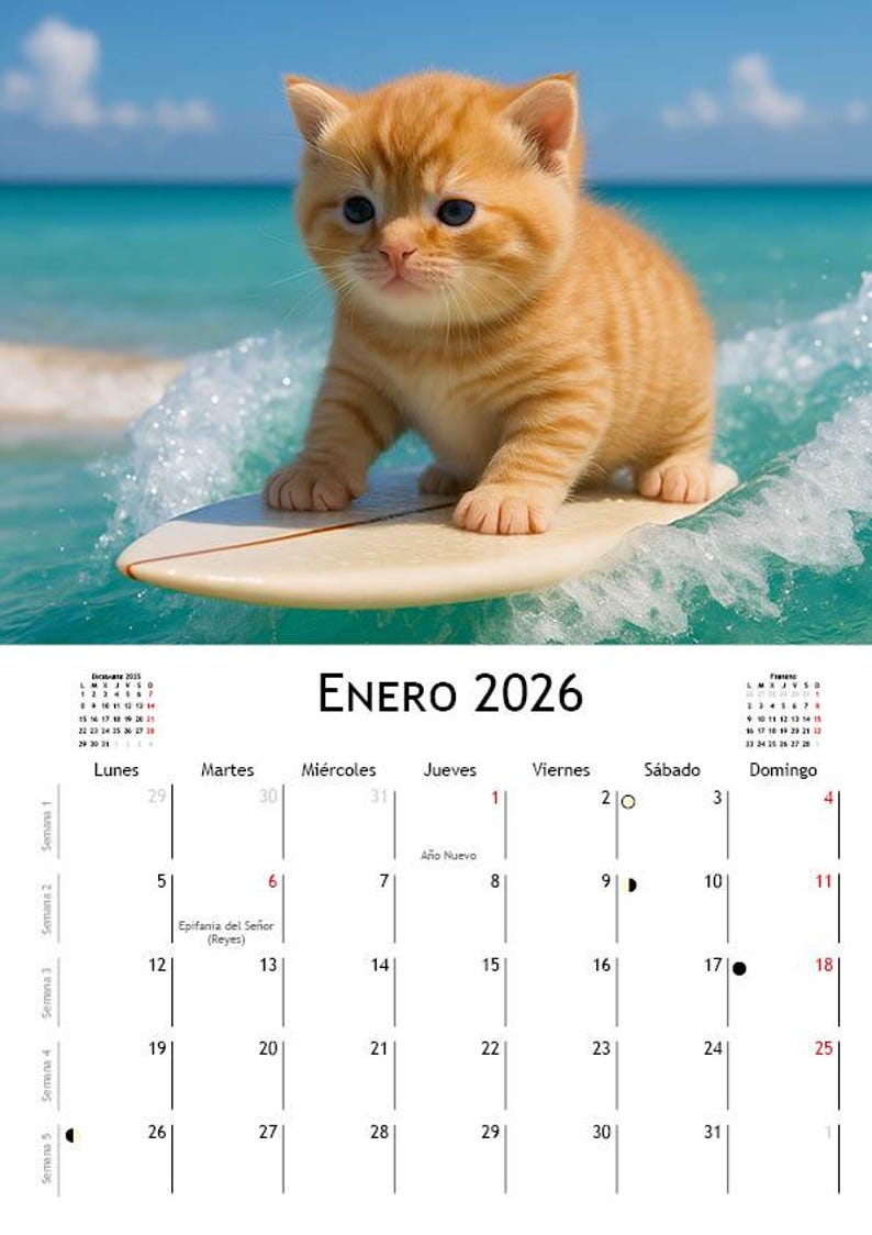 Surfer Kittens 2026 Cat Themed Calendar