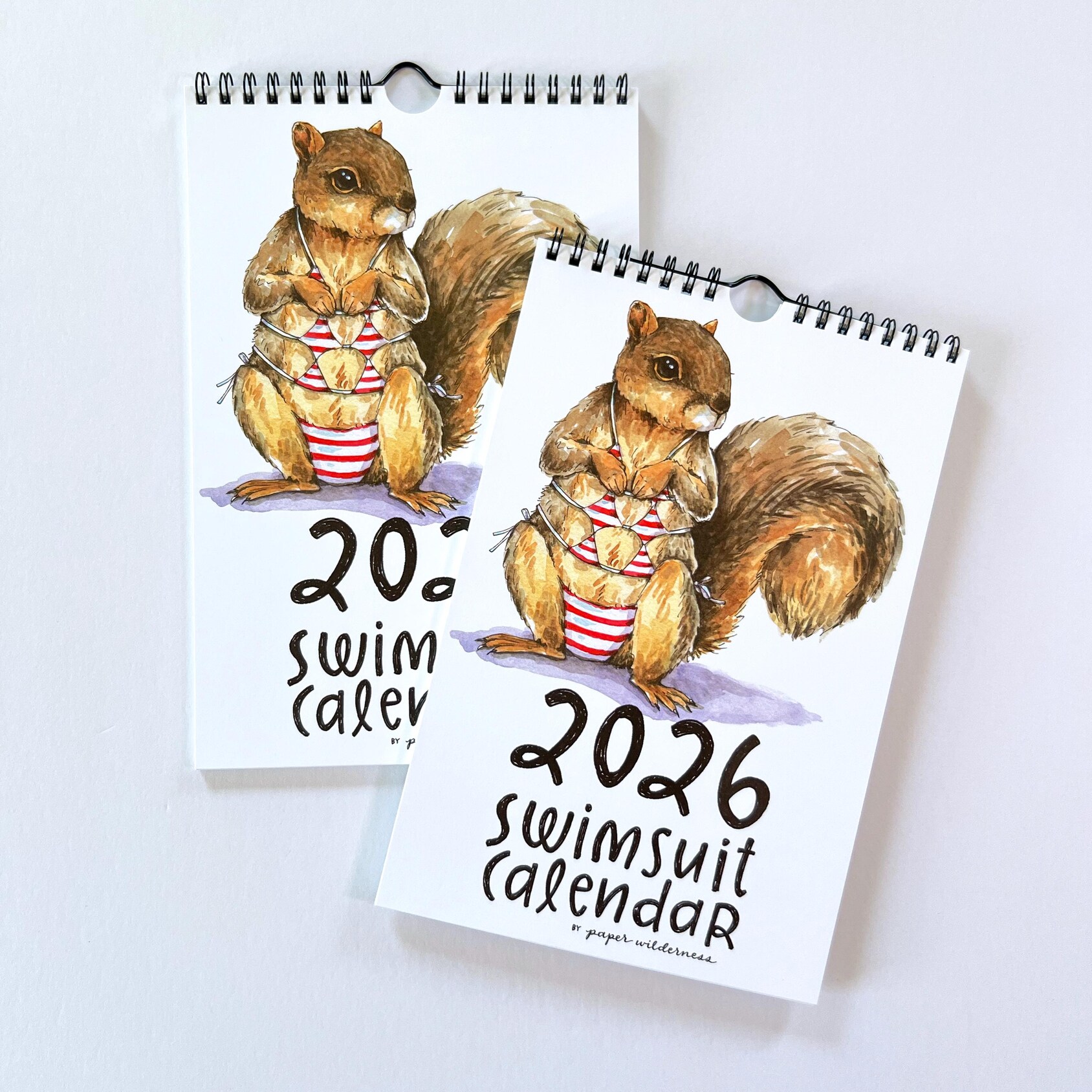 2026 Cute Animals Swimsuit Calendar