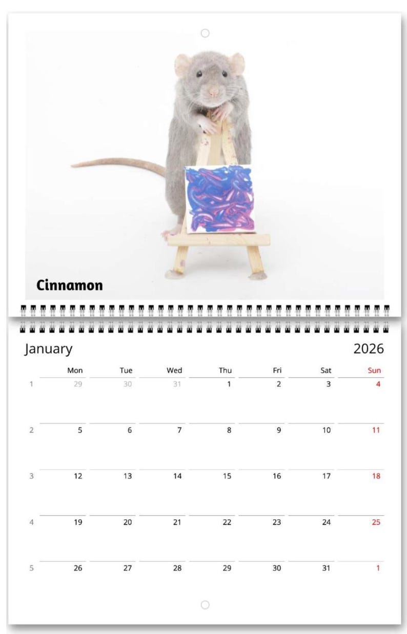 2026 Rat Painting Calendar
