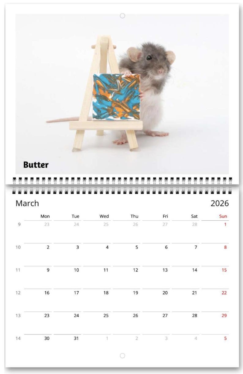 2026 Rat Painting Calendar