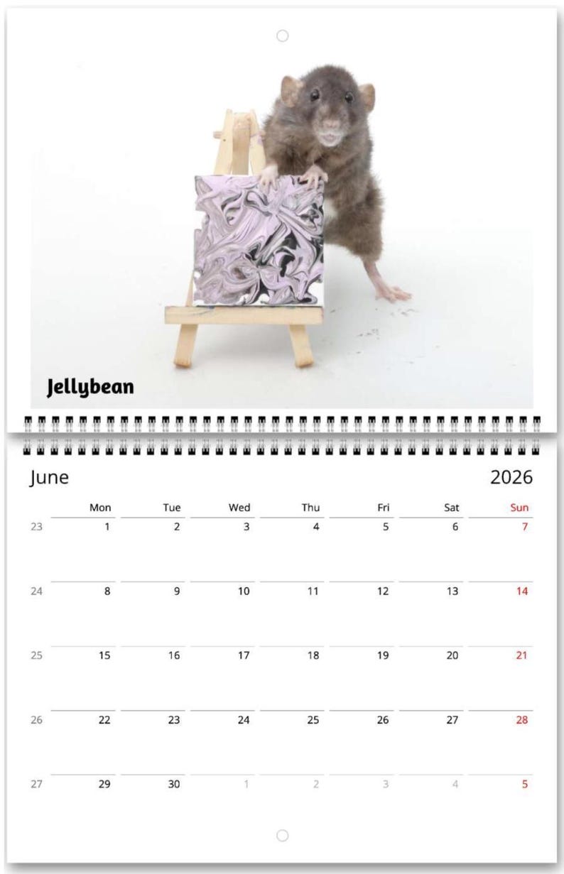 2026 Rat Painting Calendar