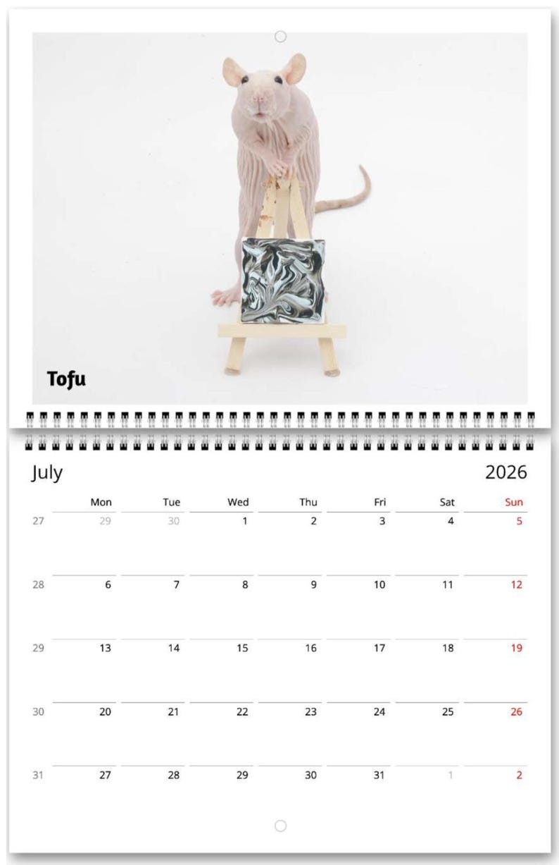 2026 Rat Painting Calendar