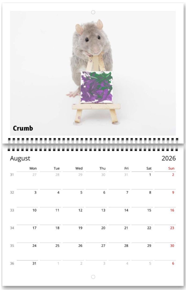 2026 Rat Painting Calendar