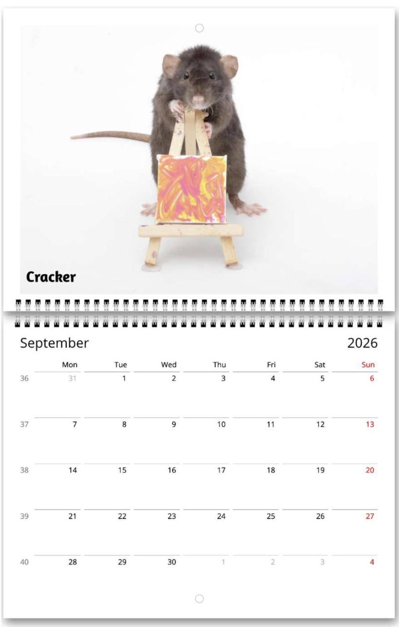 2026 Rat Painting Calendar