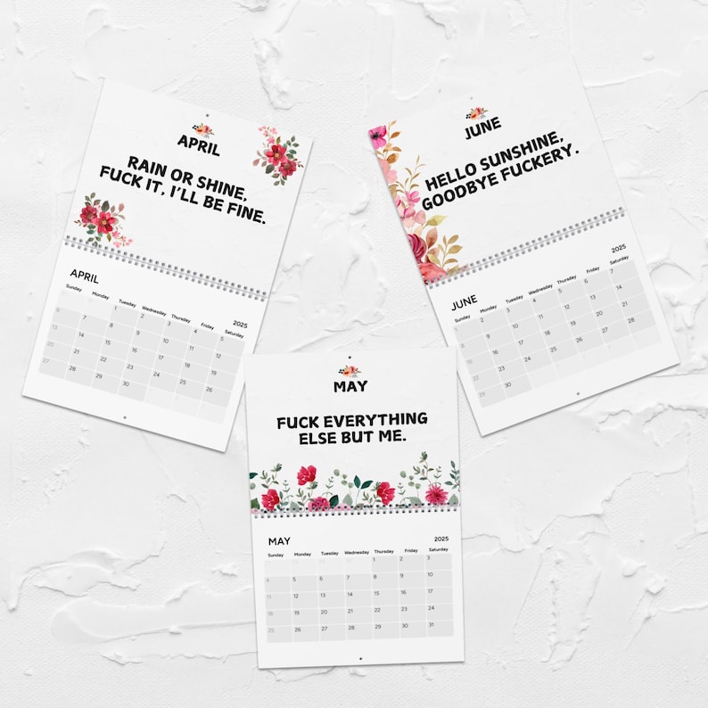 2025 Funny Calendar