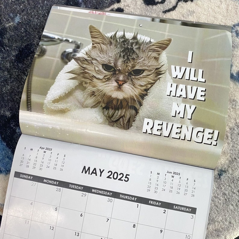 2025 Funny Cat Calendar