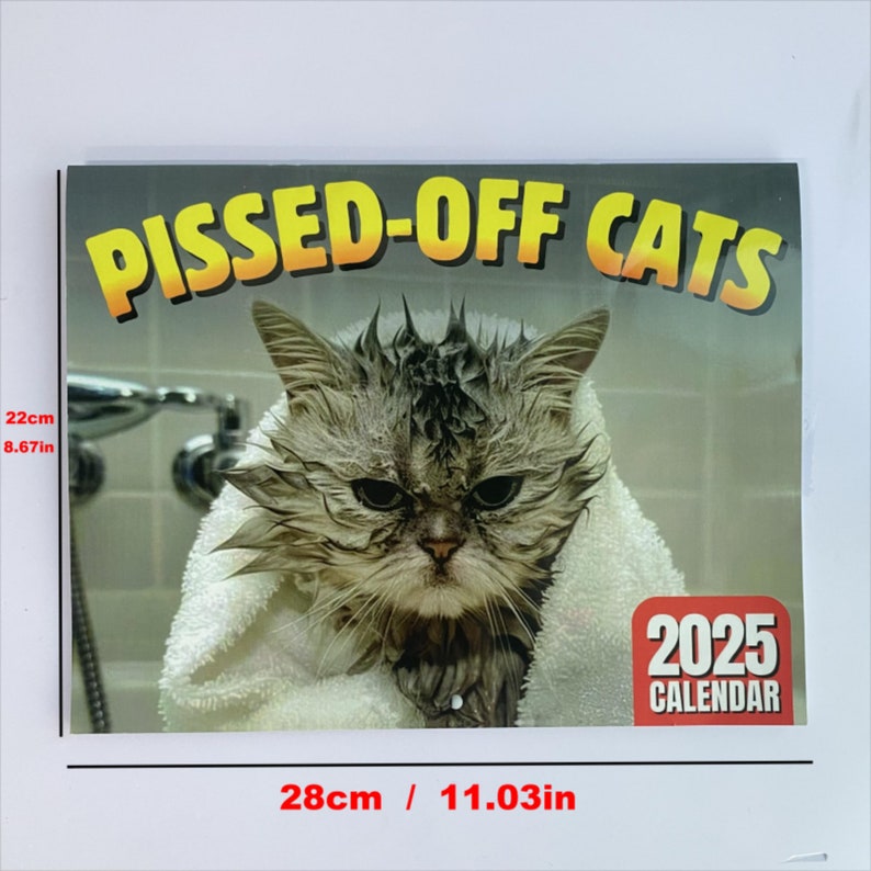 2025 Funny Cat Calendar