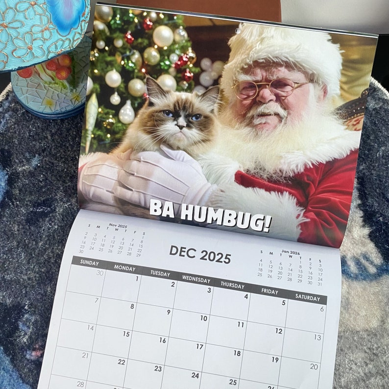 2025 Funny Cat Calendar