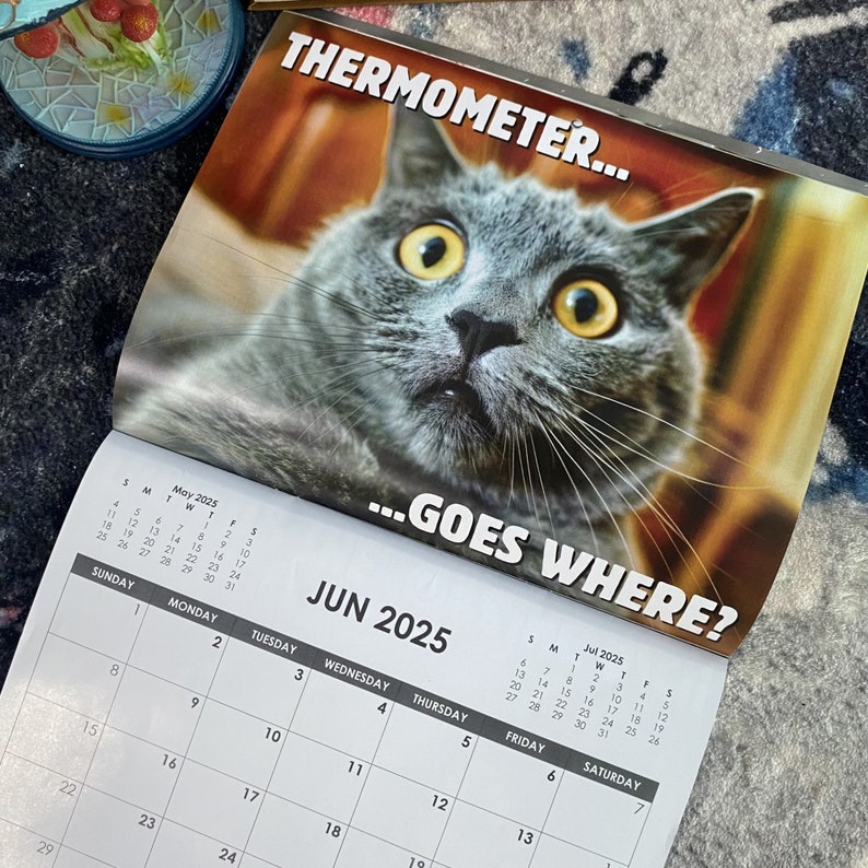 2025 Funny Cat Calendar