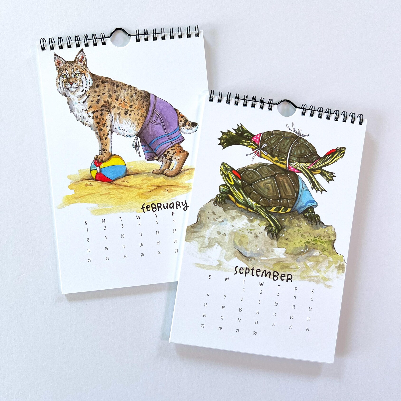 2026 Cute Animals Swimsuit Calendar