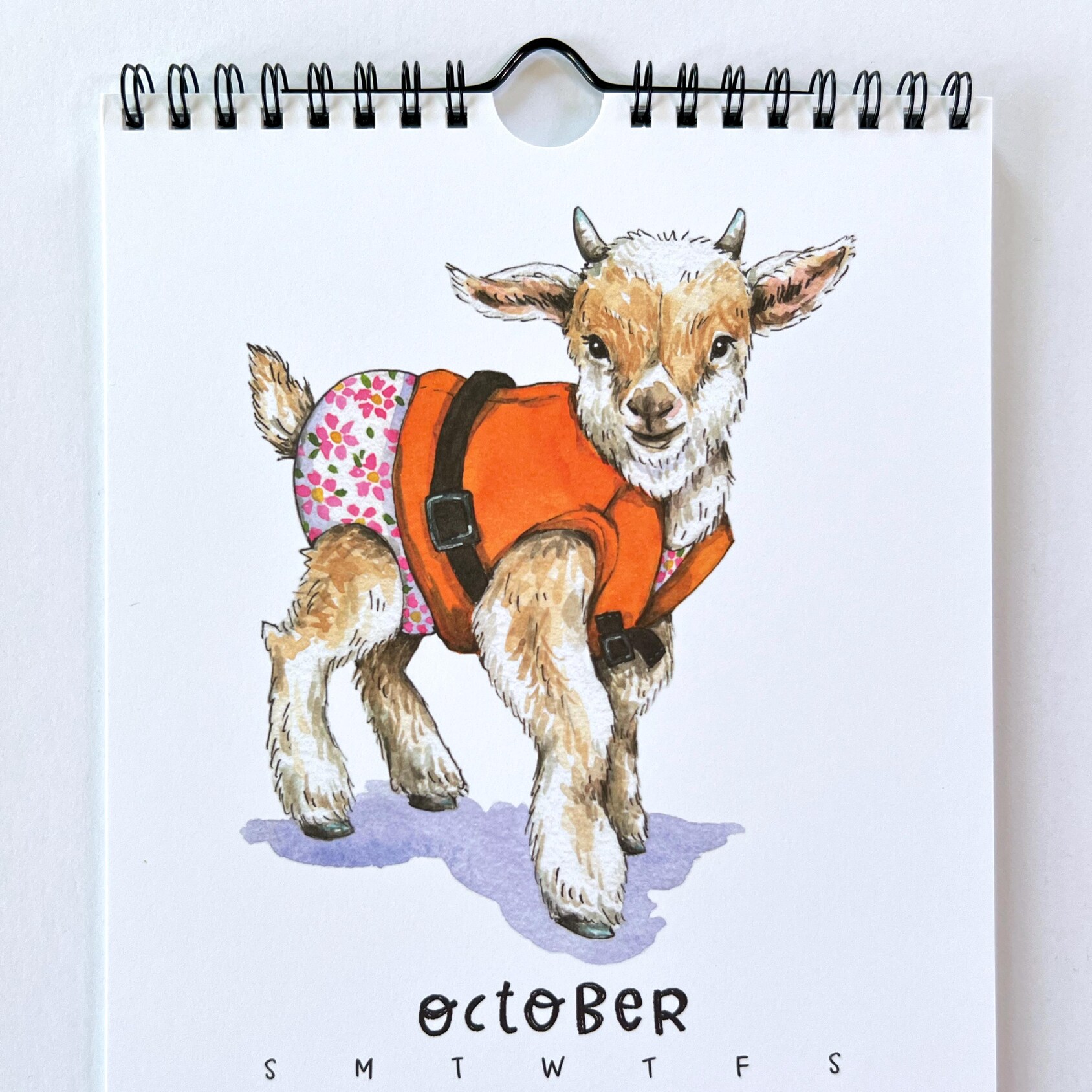 2026 Cute Animals Swimsuit Calendar