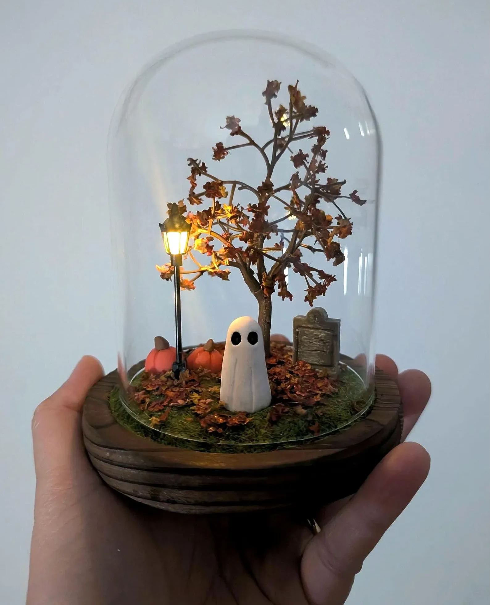 Ghost Terrarium