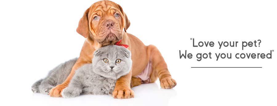Contest Entry #7 for Shopify Banner for a pet shop