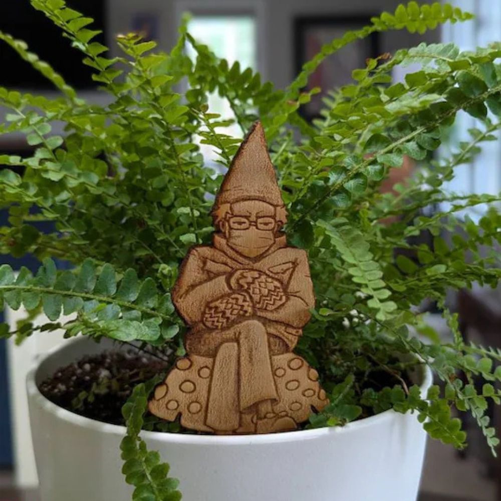 Bern in a fern 🍄 Grumpy Bernie Gnome Plant - Garden Wood Stake