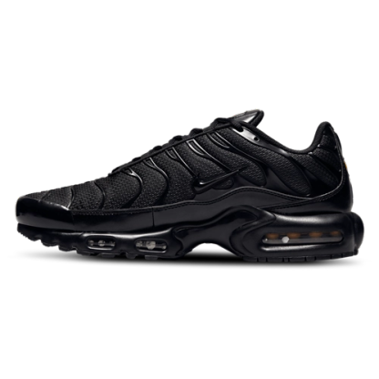 Nithtke Air Max Plus