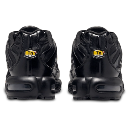 Nithtke Air Max Plus