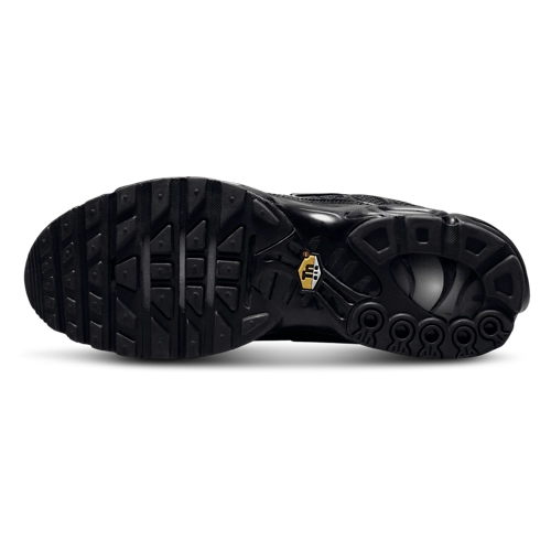 Nithtke Air Max Plus