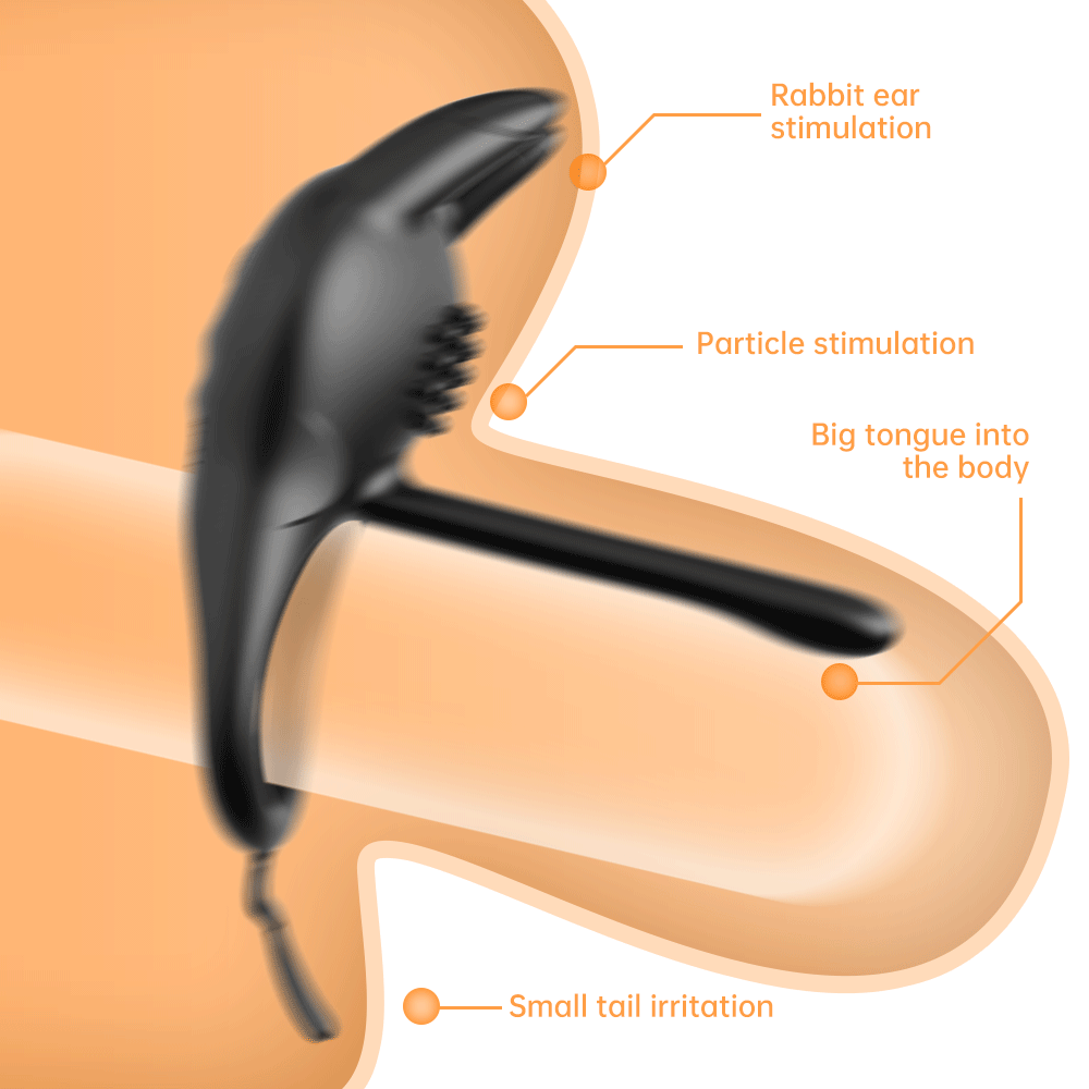 Lock Fine Double Vibration Ring