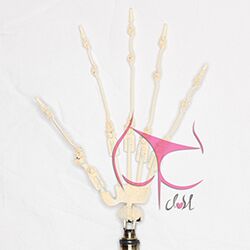 Articulated Fingers-DollsLover Official Store