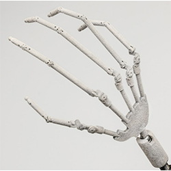 Ball Jointed Hand Skeleton (FREE)
