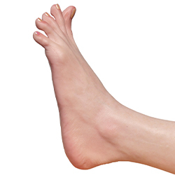 Toe Bones