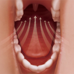 Oral Sucking-DollsLover Official Store