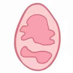 Hymen