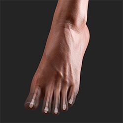 Toe Bones (FREE)-DollsLover Official Store