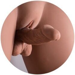 15CM / 6"-DollsLover Official Store
