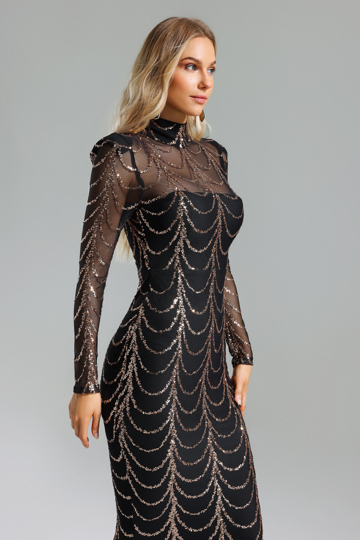 Palez Sequins Mesh Maxi Dress