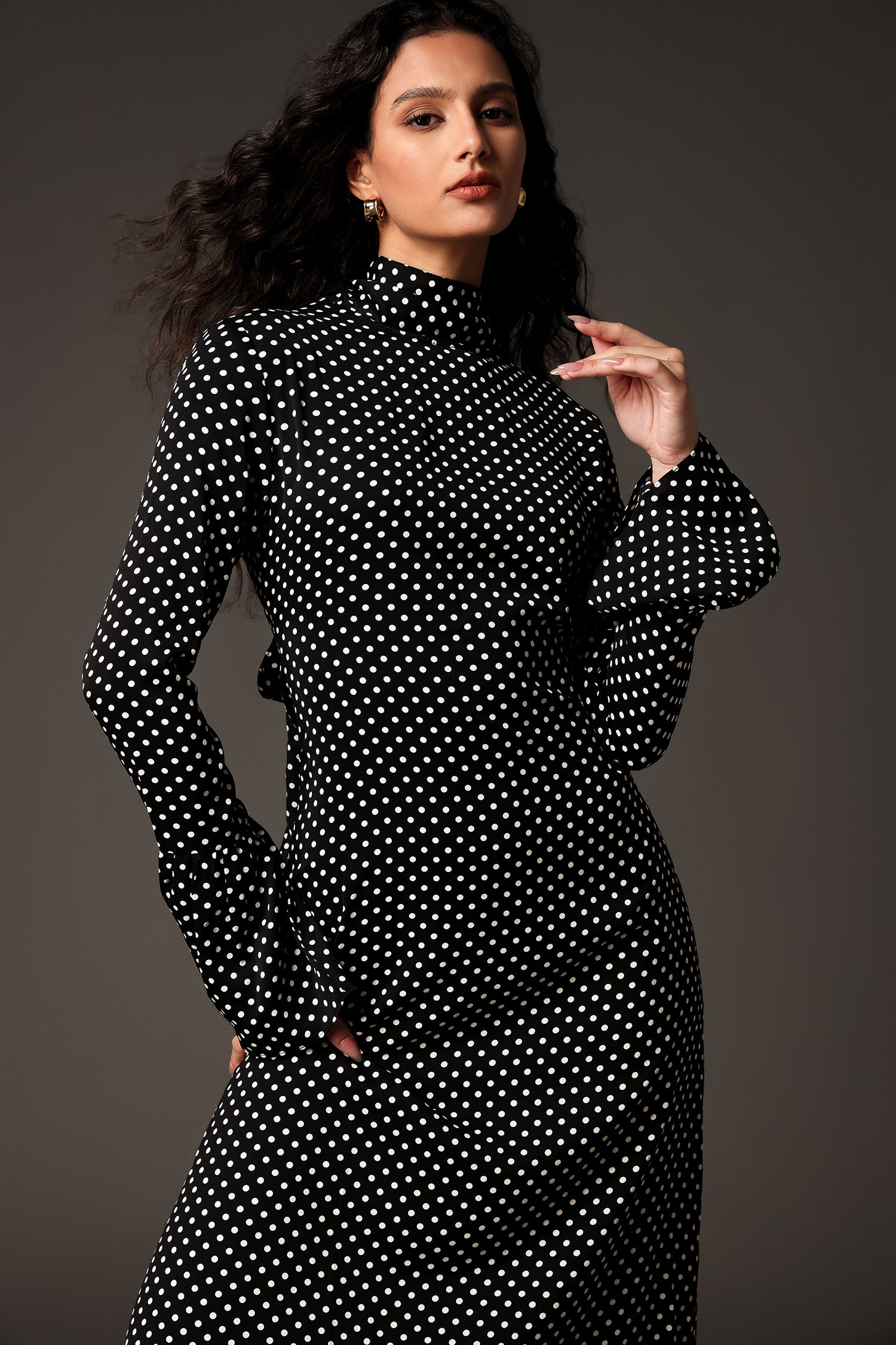 Elleri High Neck Long Sleeves Maxi Dress