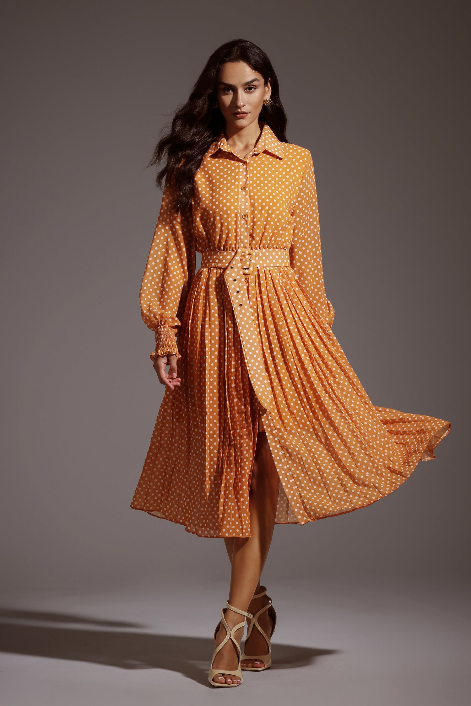 Pamela Dot Long Sleeves Maxi Dress