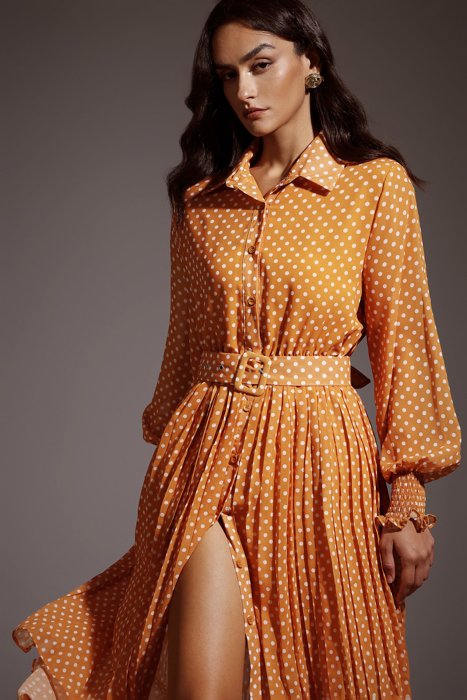 Pamela Dot Long Sleeves Maxi Dress