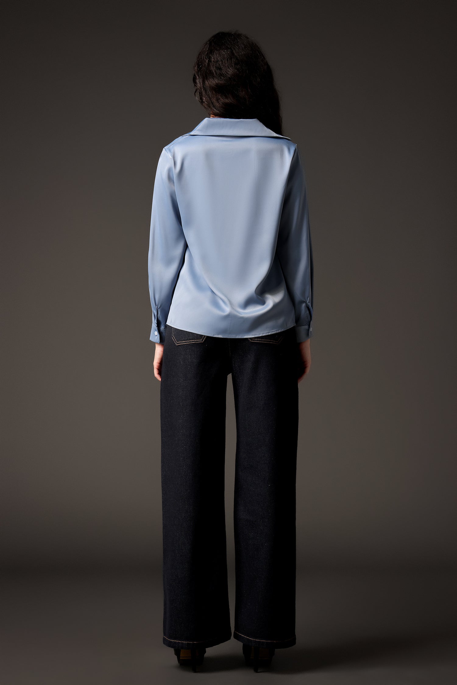 Parry V-Neck Long Sleeves Satin Top