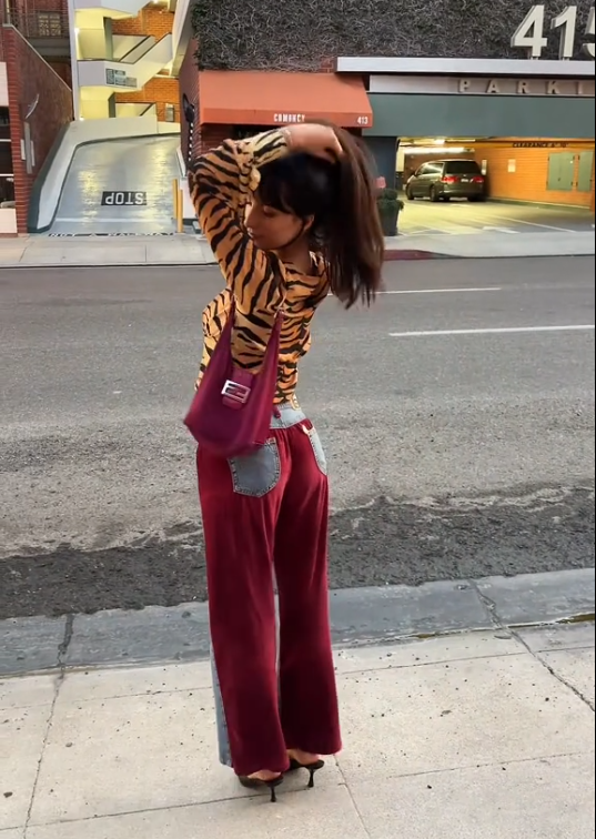 Red Velvet Denim Trousers