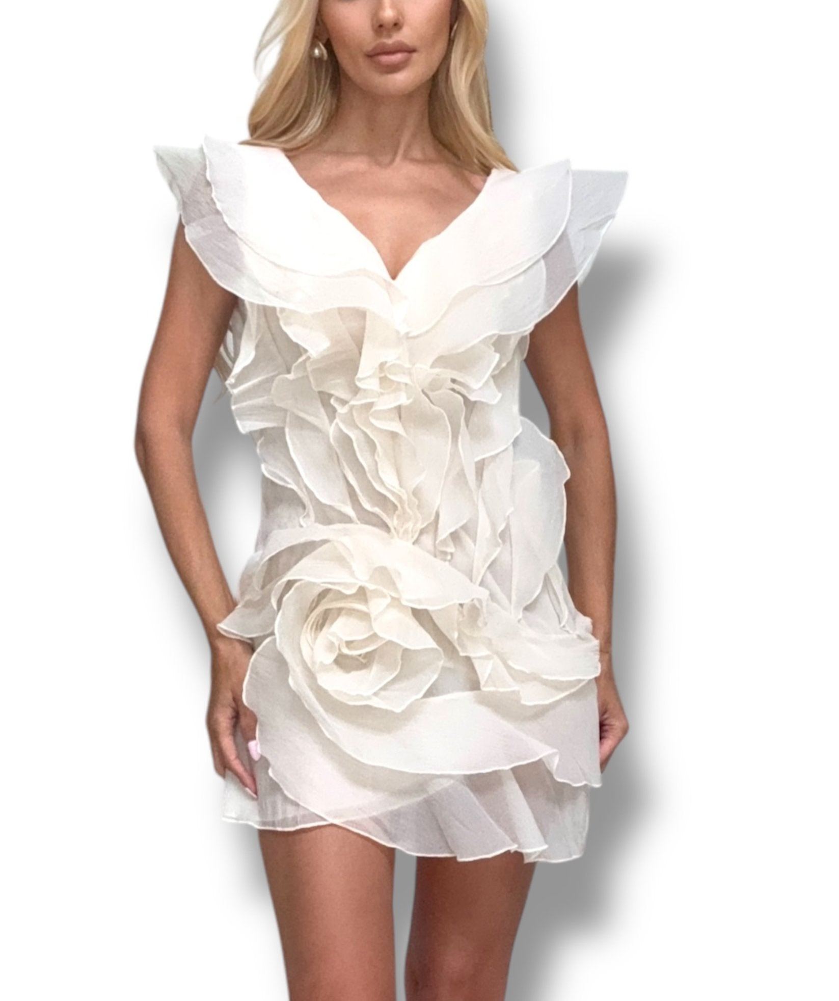 Ella Ruffle Mini Dress