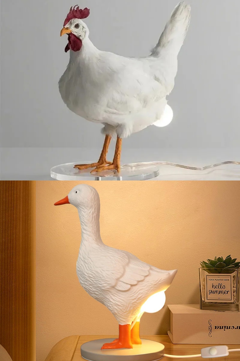 🐓💡Hilarious Chicken Egg Lamp