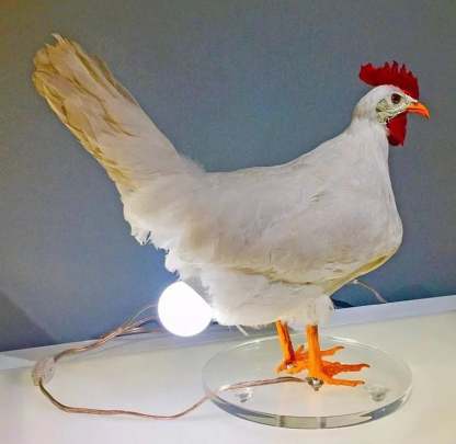 🐓💡Hilarious Chicken Egg Lamp