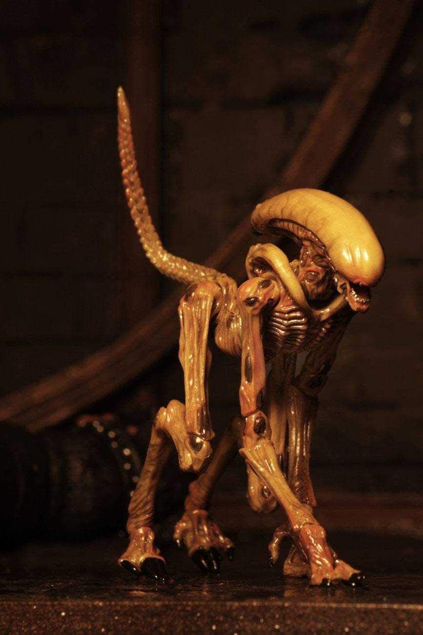 Neca Alien 3 - Creature Accessory Action Figure Pack – Phillips Toys