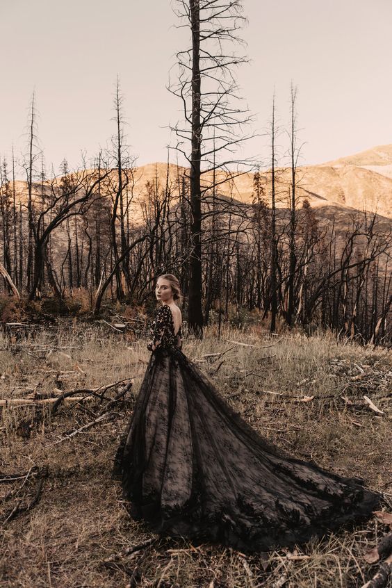 Glamorous Black Long A-line V Neck Tulle Lace Wedding Dresses With Sleeves - YESBABYONLINE