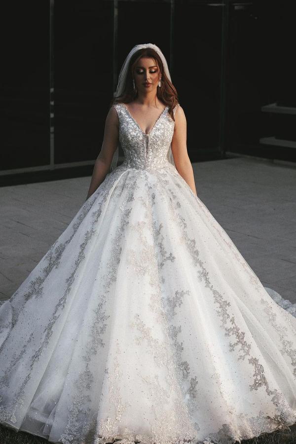 Chicloth V-Neck Sleeveless Ball Gown Wedding Dress With Silver Applqiues