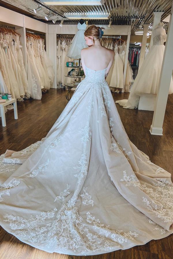 Romantic Strapless Lace Aline Wedding Dress for Women Backless Bridal Dress