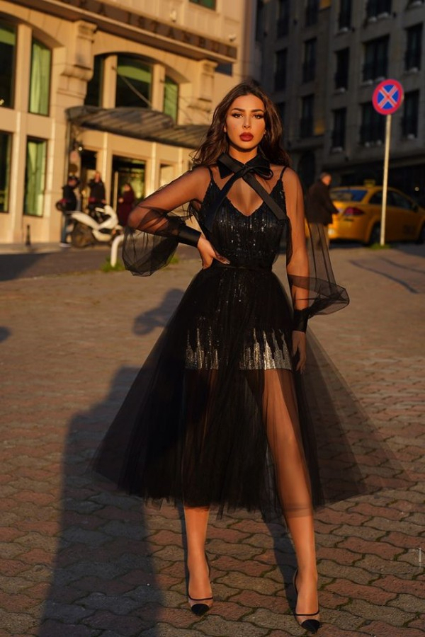 See-Through High Neck Black Tulle Princess Homecoming Dress | V-Neck