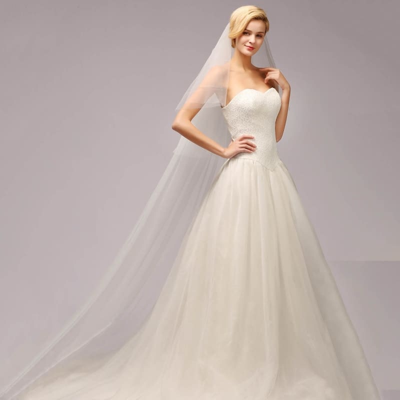 3M Two Layer Lace Edge Face Covered Wedding Veils | Bridelily - wedding veils
